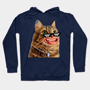 Cute crazy cat Hoodie